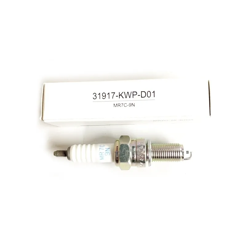 31917KWPD01 – Bugi