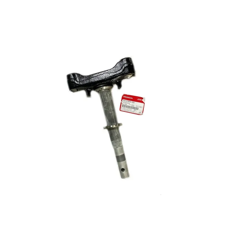 53219KVGV20 – CỤM TRỤC CỔ LÁI