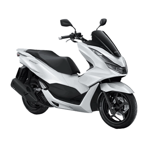 CATALOGUE PCX