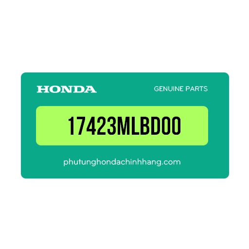 17423MLBD00 - Ống Dẫn Khí Bộ Lọc