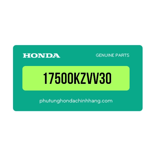 17500KZVV30 - Cụm Bình Xăng Dream 110