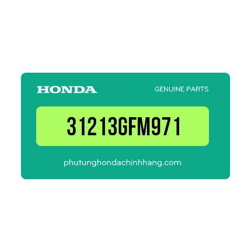 31213GFM971 - Cụm Chổi Than Lead 110