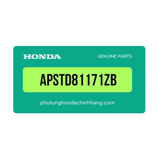 APSTD81171ZB – Lưới Buộc Đồ Cb500, Cbr500