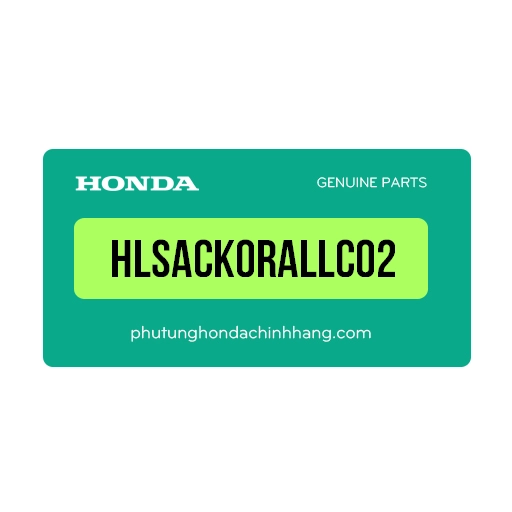 HLSAC-K0R-ALLC02 | Ốp đèn soi biển số (chrome)