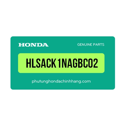 HLSAC-K1N-AGBC02 | Ốp tay dắt sau (chrome)