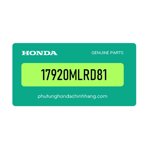 17920MLRD81 - Dây Ga B