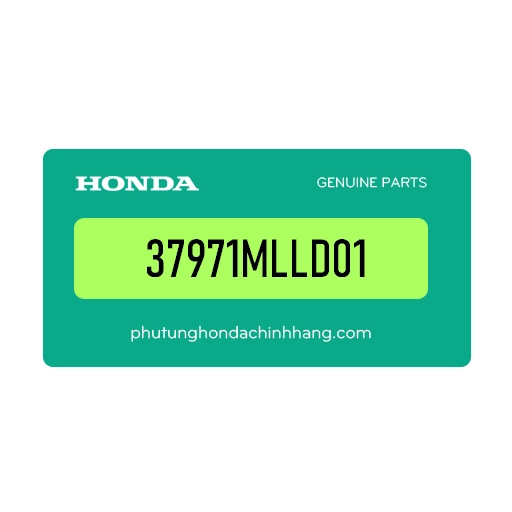 37971-MLL-D01